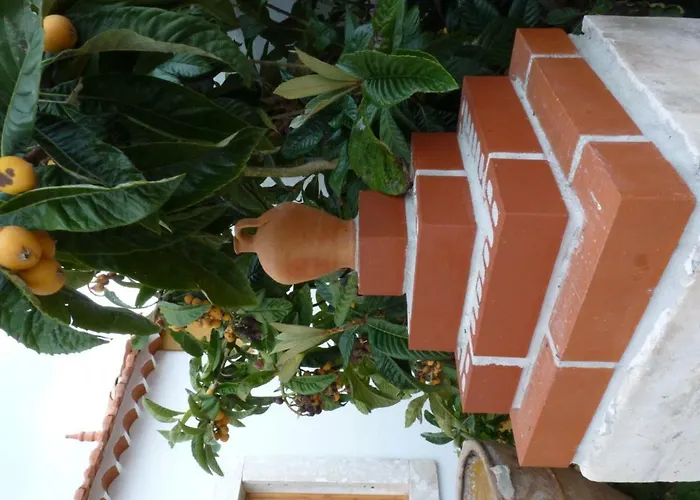 Refugio Da Ti Maria