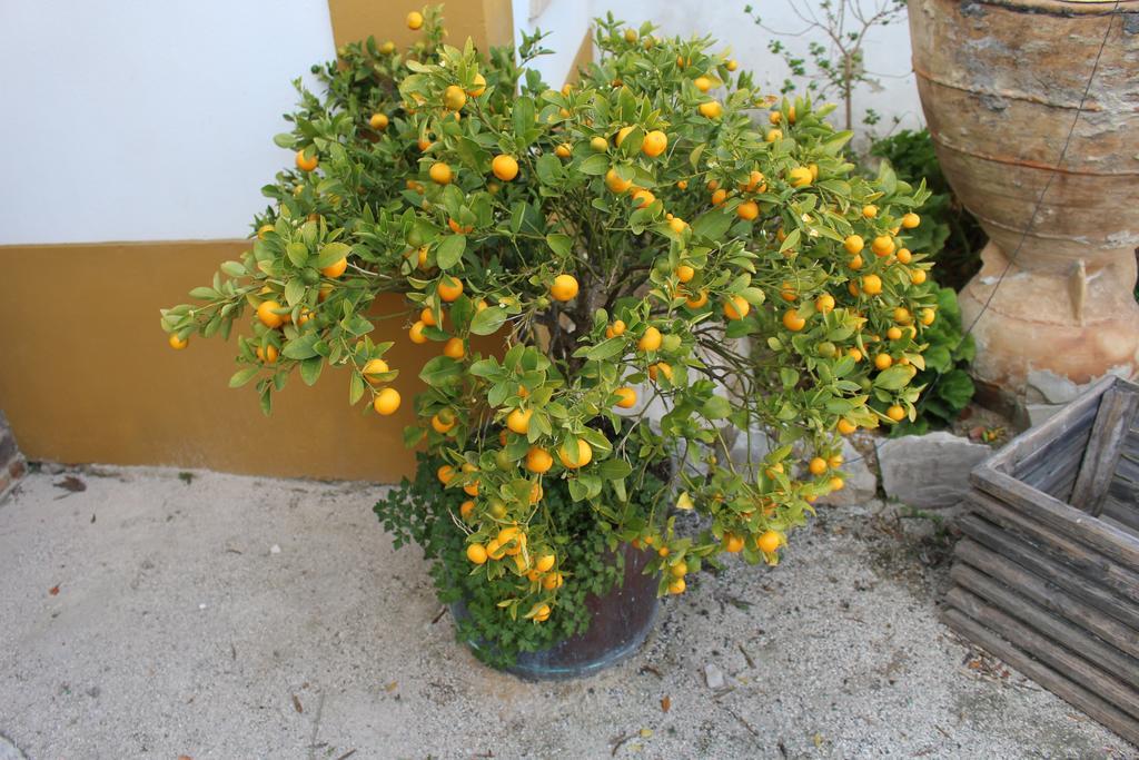 Refugio Da Ti Maria