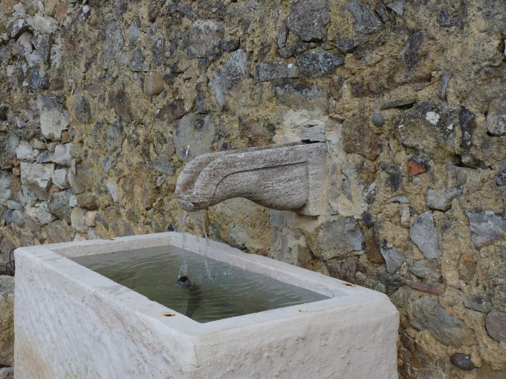 Refugio Da Ti Maria Batalha